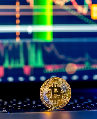Braklevix Trading Informationen